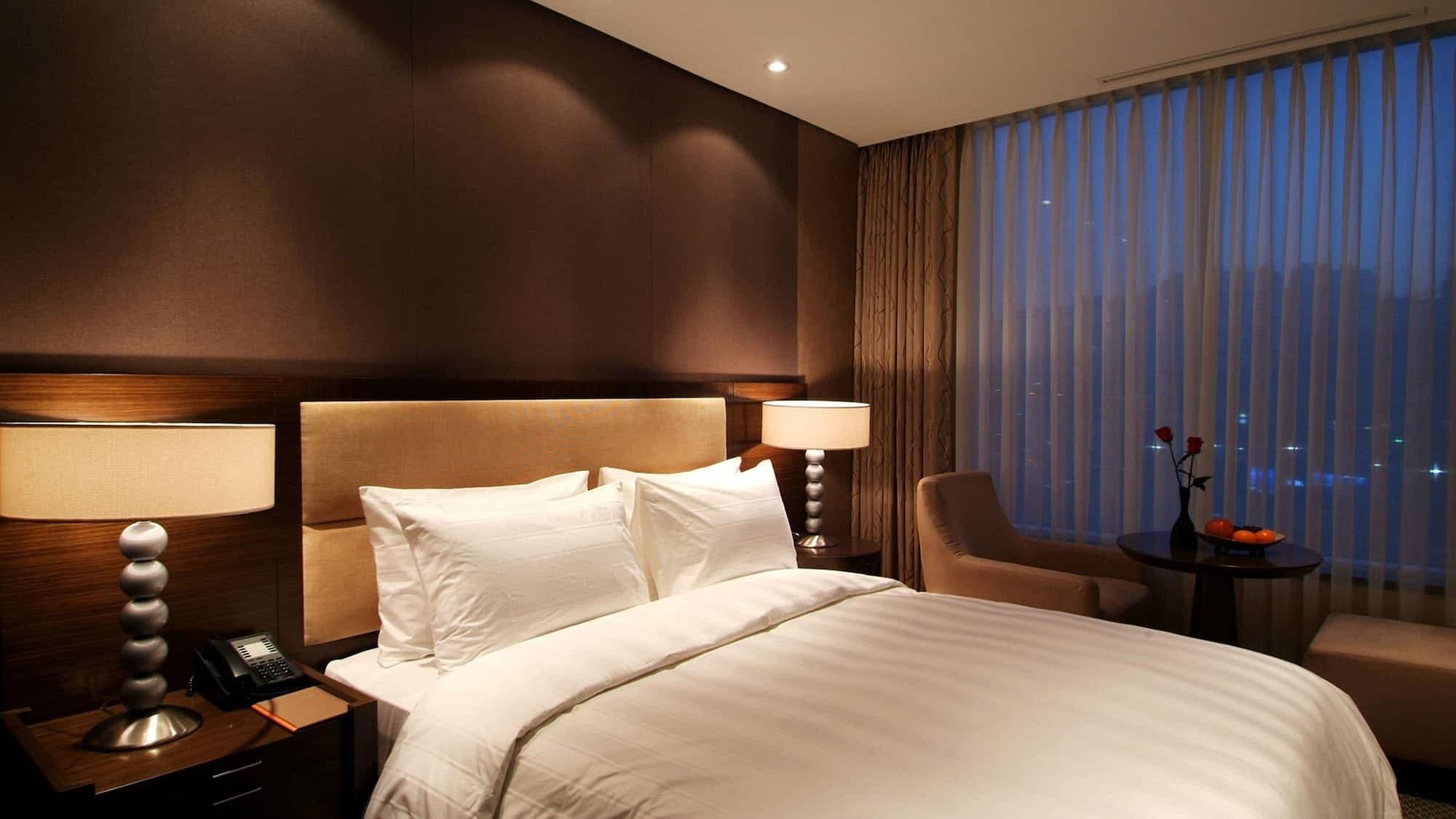 Lotte Mapo Hotel 3*